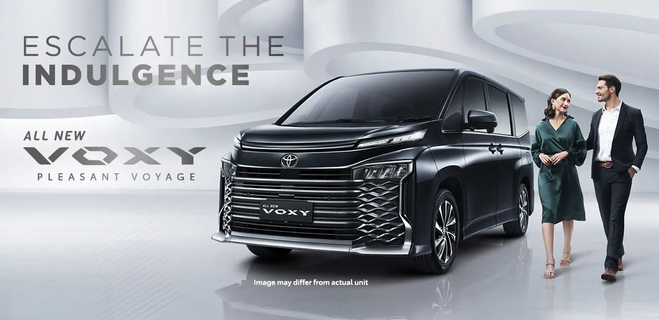 voxy